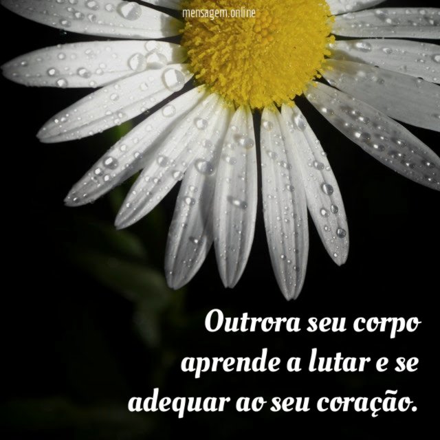Outrora seu corpo aprende a lutar e se