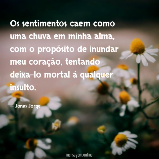 Os sentimentos caem como uma chuva em minha alma