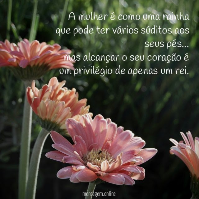 A mulher é como uma rainha que pode