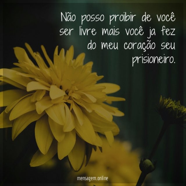 Não posso proibir de você ser livre mais