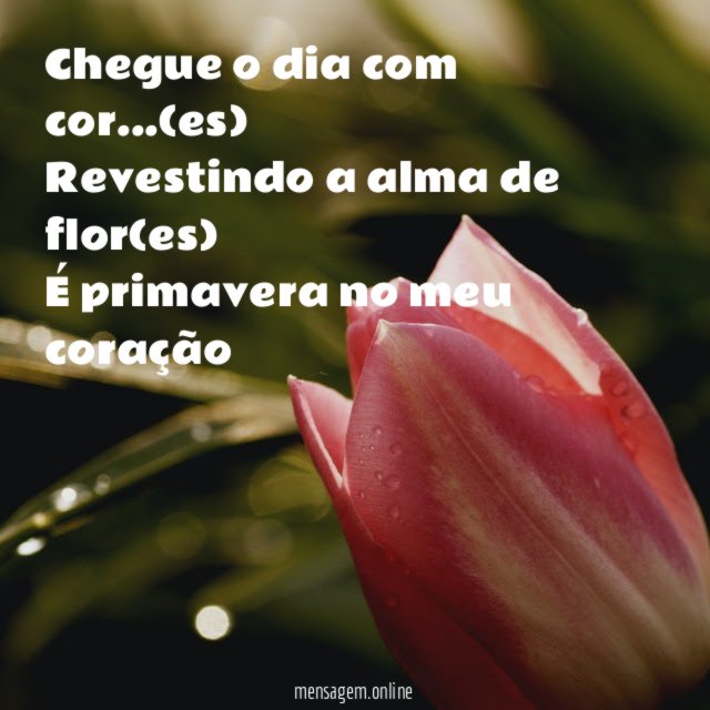 Chegue o dia com cor