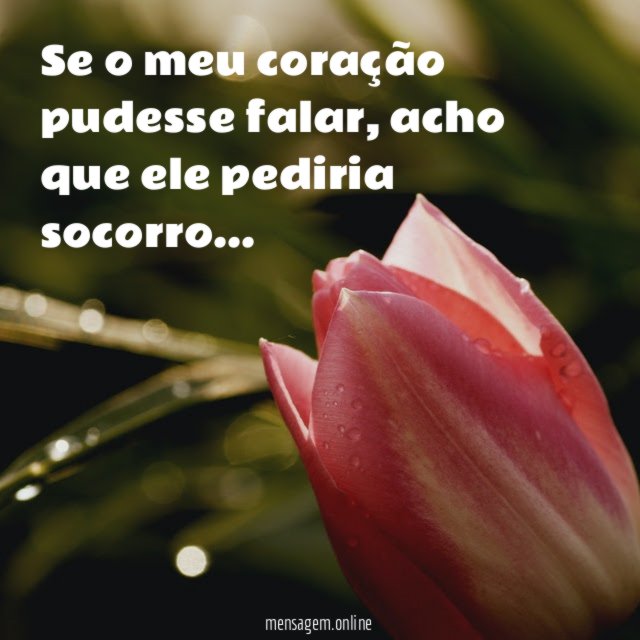 Se o meu coração pudesse falar