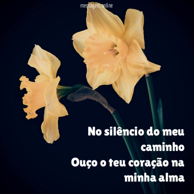 No silêncio do meu caminho Ouço o teu coração