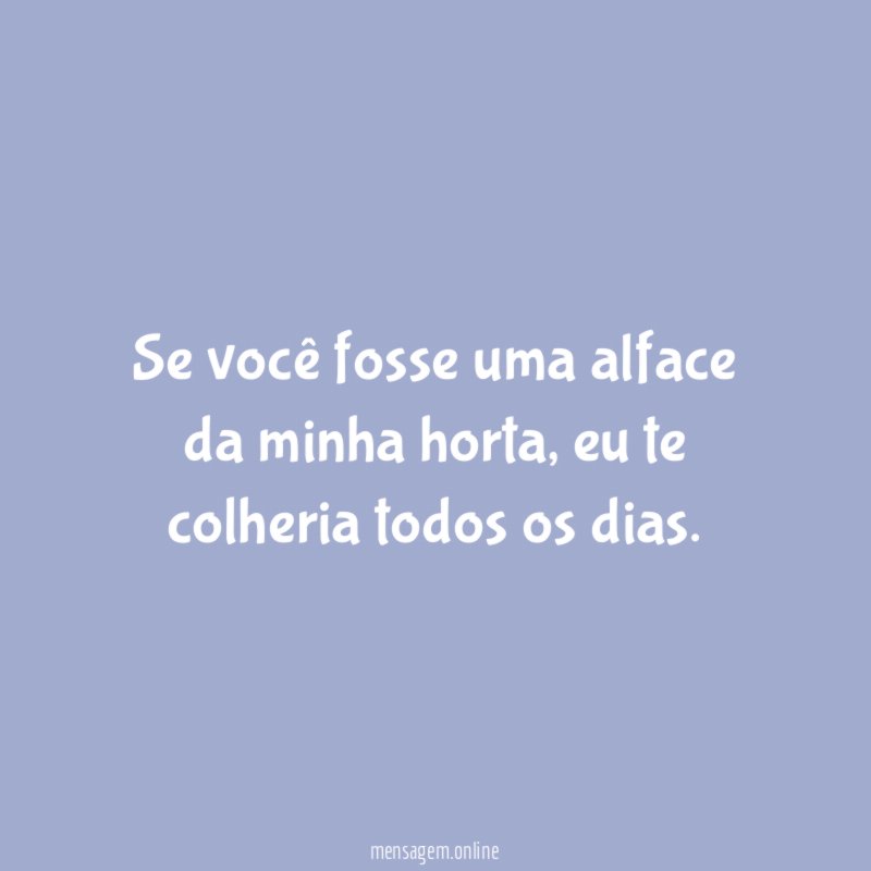 Se você fosse uma alface da minha horta