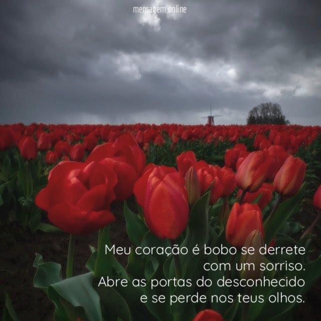 Meu coração é bobo se derrete com um sorriso.