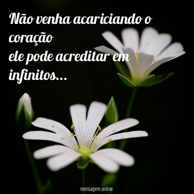 Não venha acariciando o coração ele pode acreditar em infinitos