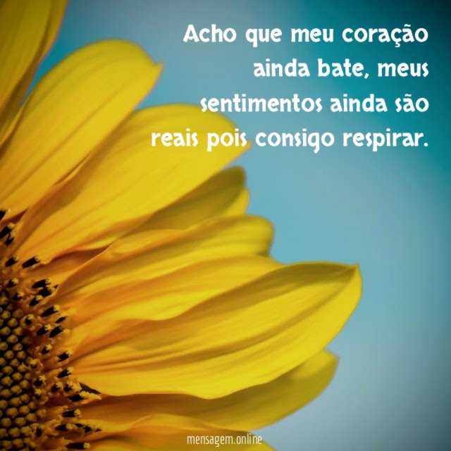 acho que meu coração ainda bate