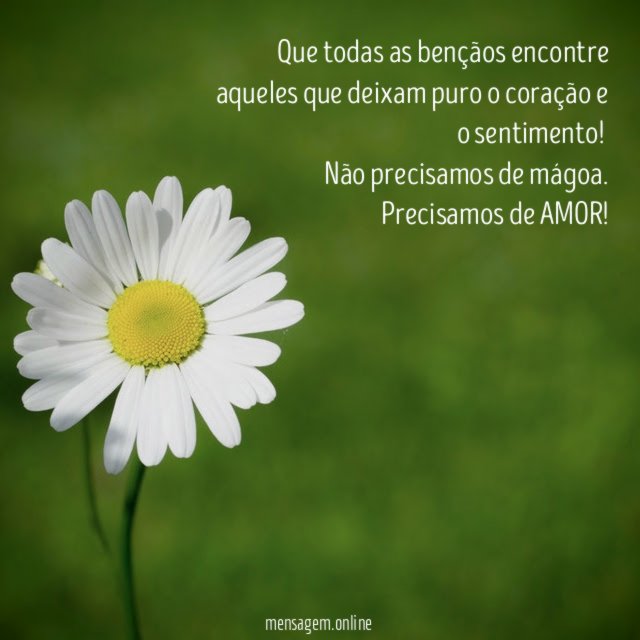 Que todas as bençãos encontre aqueles que deixam