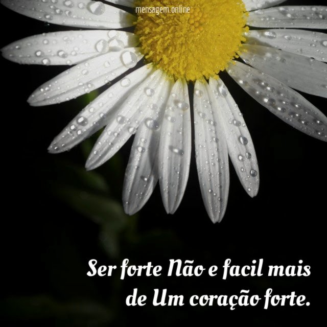 Ser forte Não e facil mais de Um coração forte
