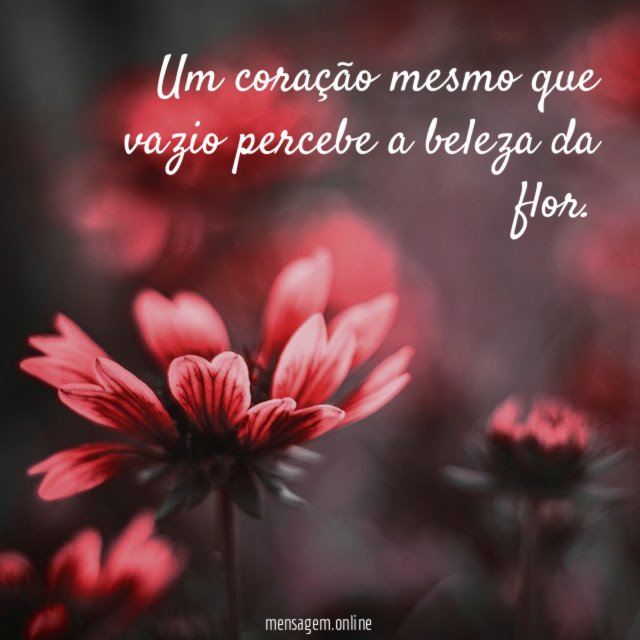 um coração mesmo que vazio percebe a beleza da flor