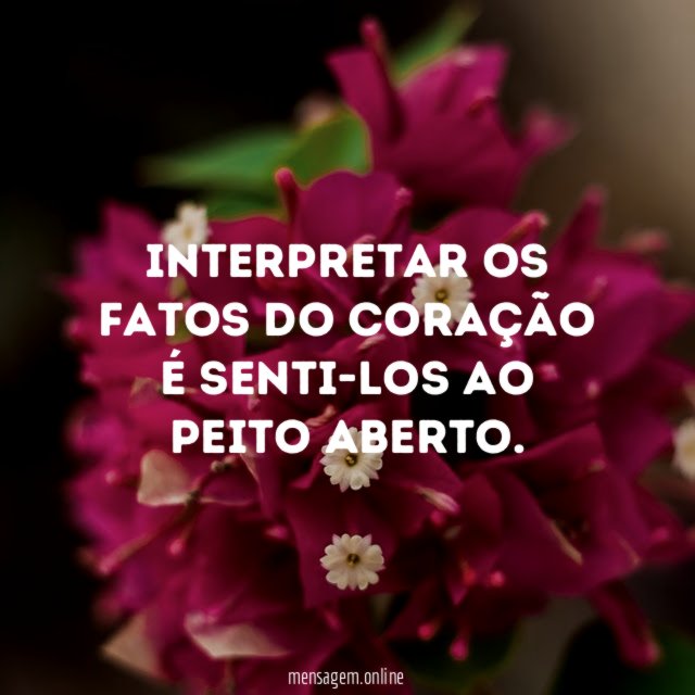 Interpretar os fatos do coração é senti-los ao peito aberto