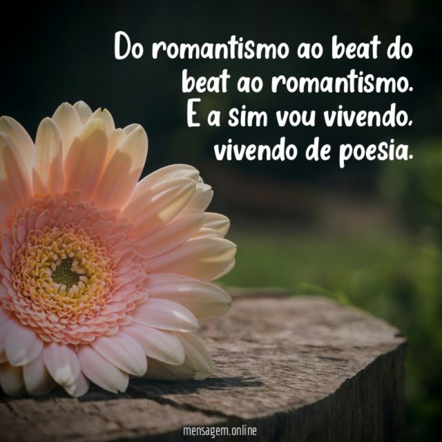 Do romantismo ao beat do beat ao romantismo