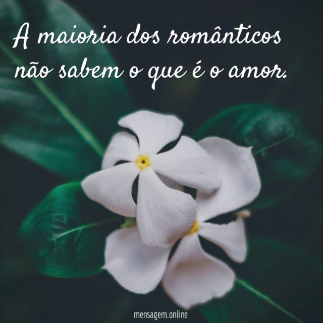 A maioria dos românticos não sabem o que é o amor