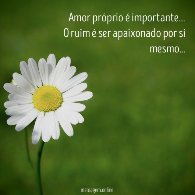 Amor próprio é importante