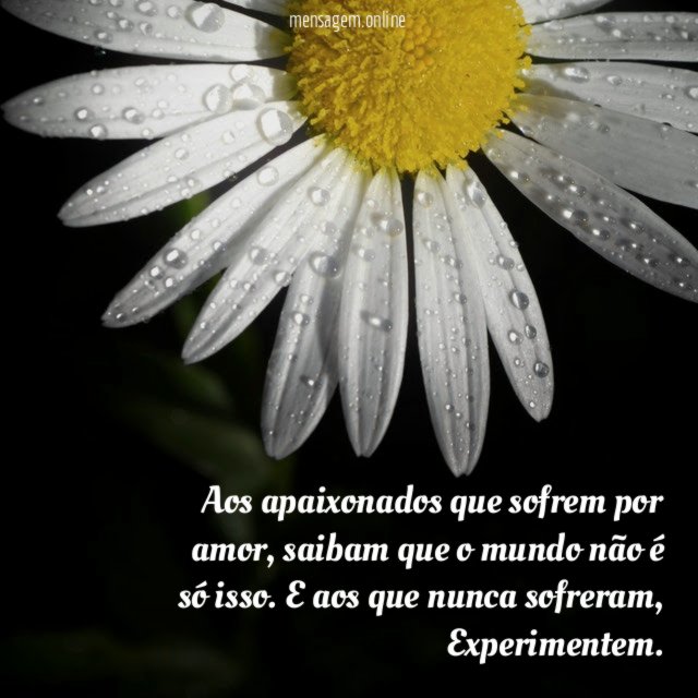 Aos apaixonados que sofrem por amor