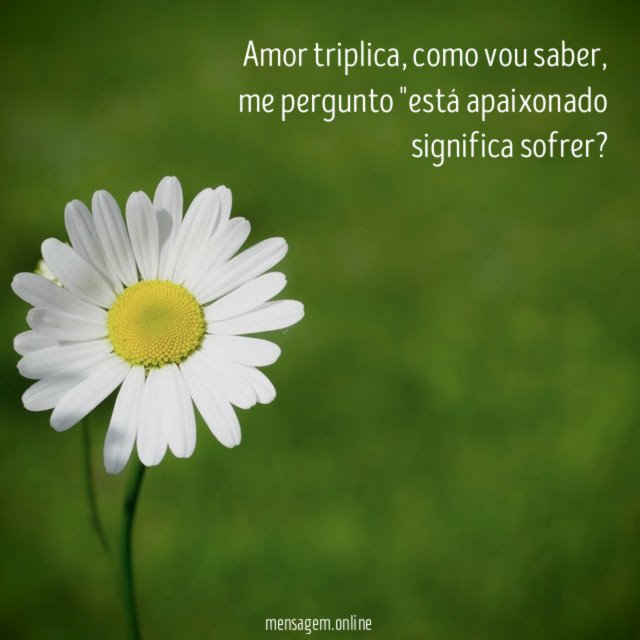 Amor triplica