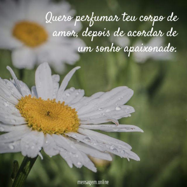 Quero perfumar teu corpo de amor