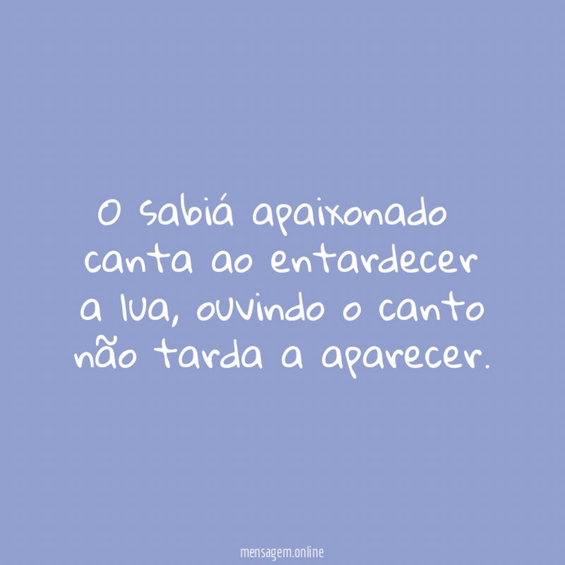O sabiá apaixonado canta ao entardecer a lua