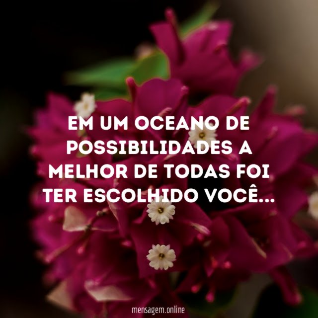 Em um oceano de possibilidades a melhor de