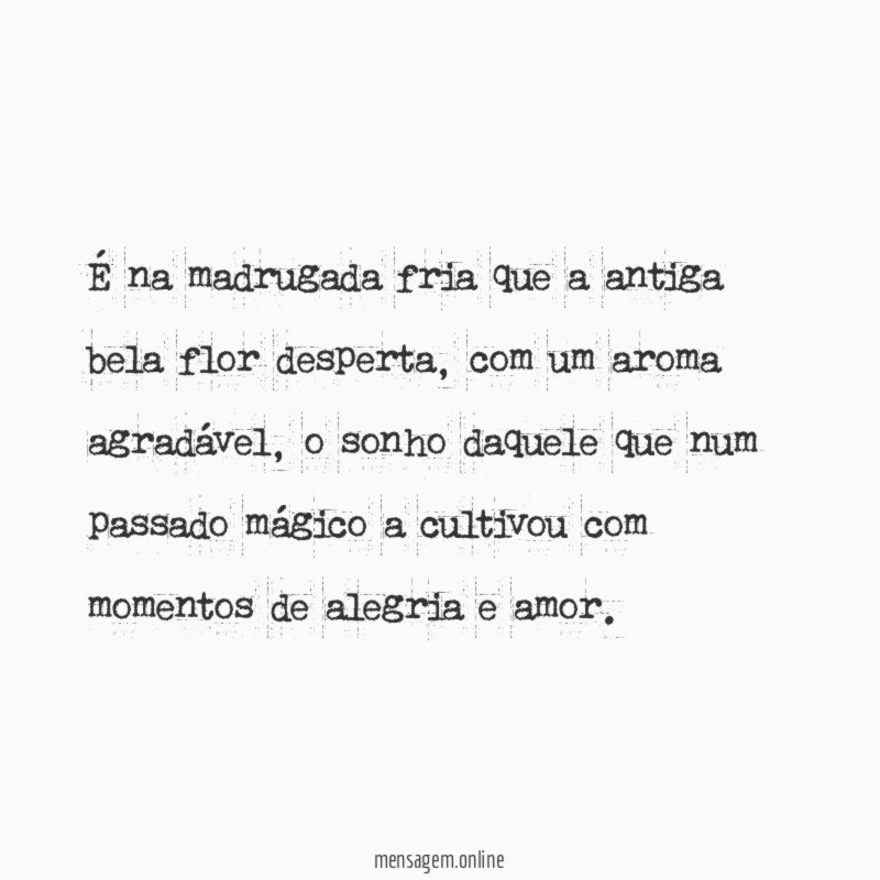 É na madrugada fria que a antiga bela flor desperta