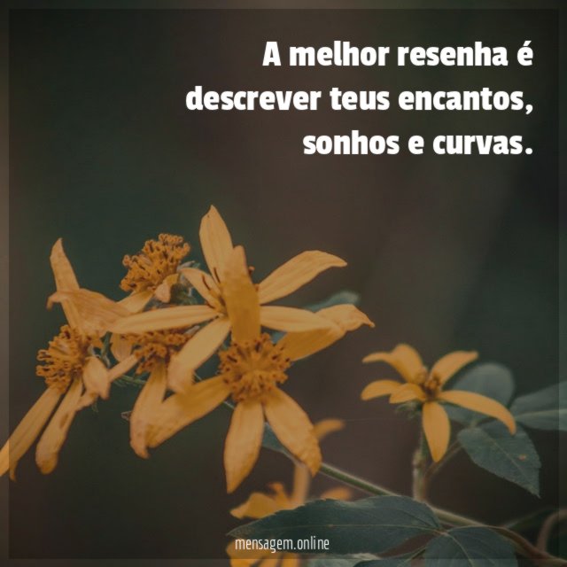 A melhor resenha é descrever teus encantos