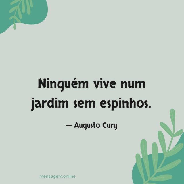 Ninguém vive num jardim sem espinhos