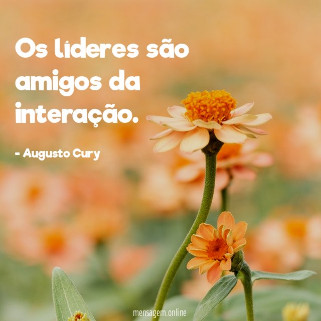 Os líderes são amigos da interação