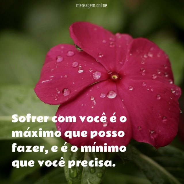 Sofrer com você é o máximo que posso fazer