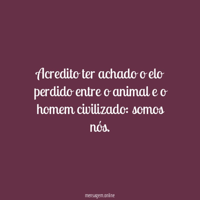 Acredito ter achado o elo perdido entre