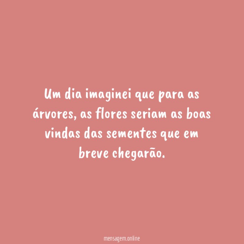 Um dia imaginei que para as árvores