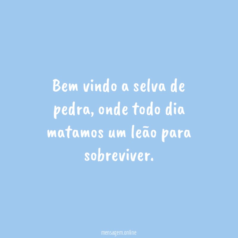 Bem vindo a selva de pedra