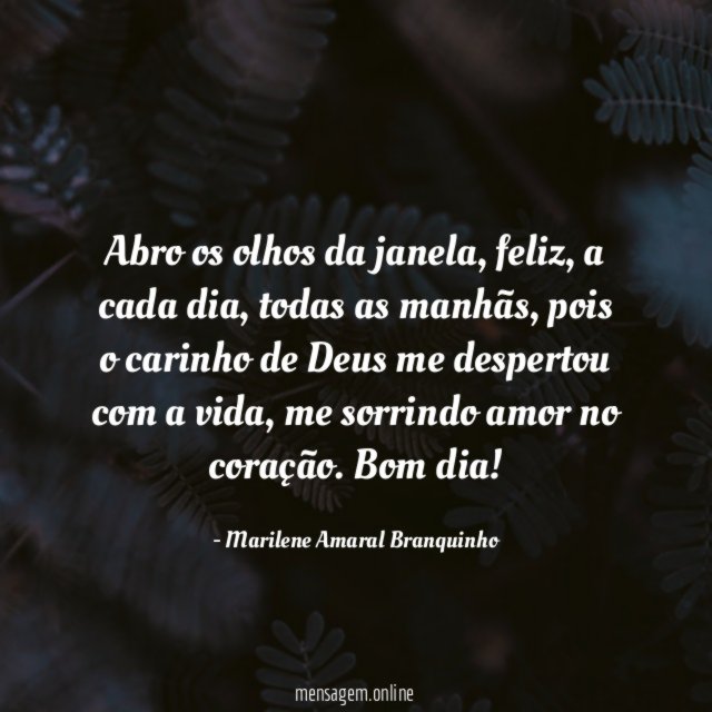 Abro os olhos da janela