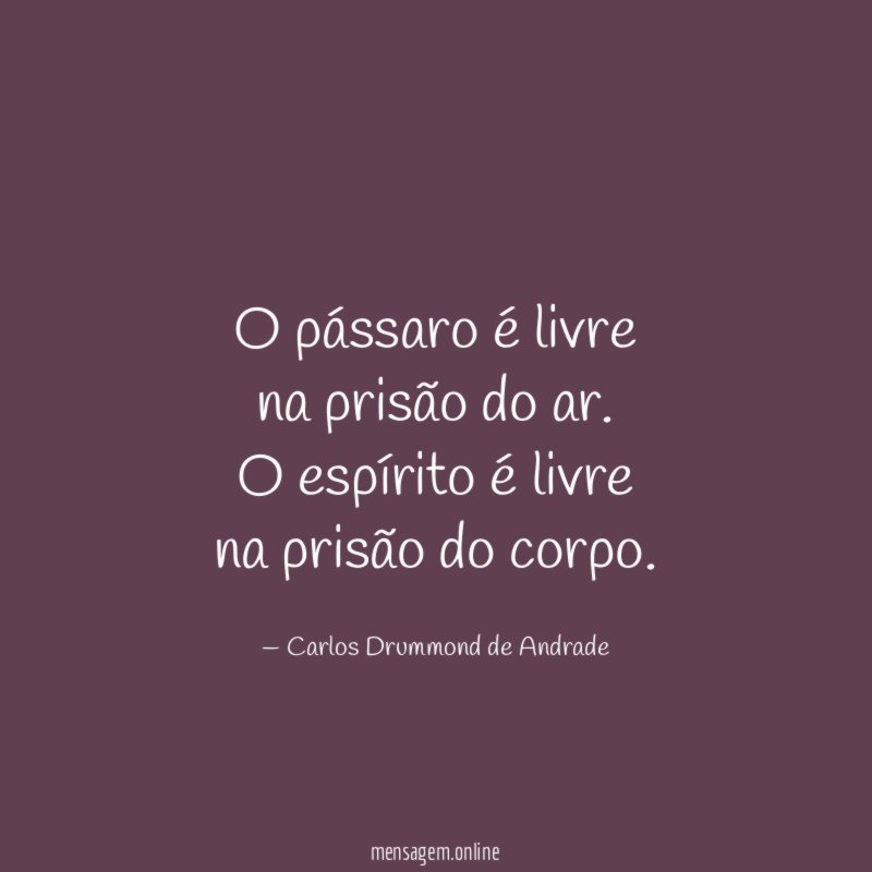 O pássaro é livre na prisão do ar