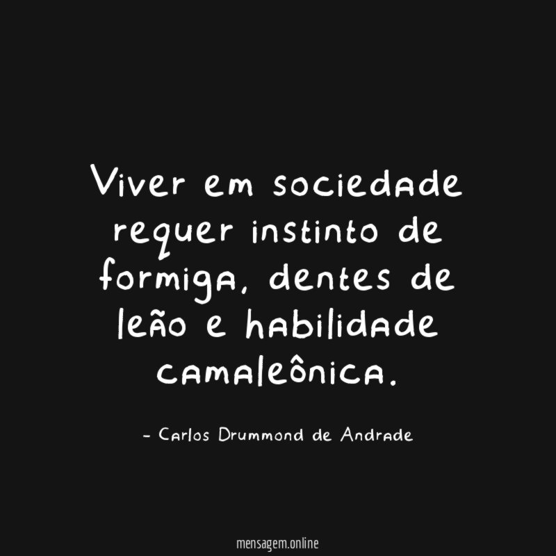 Viver em sociedade requer instinto de formiga