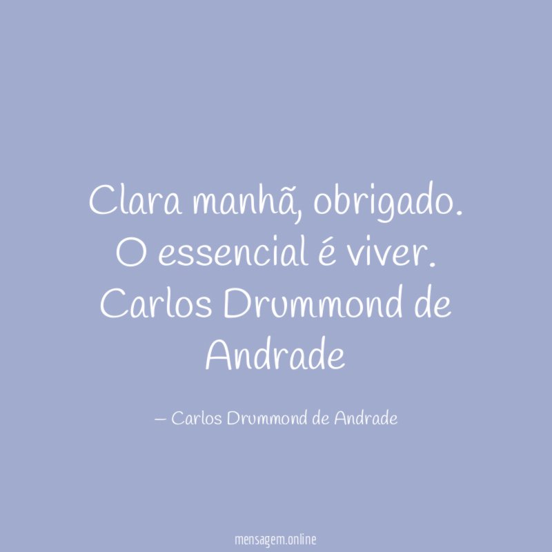 Clara manhã, obrigado. O essencial é viver.