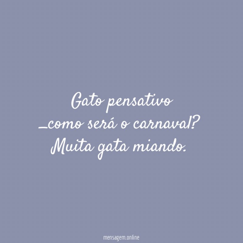 Gato pensativo _como será o carnaval