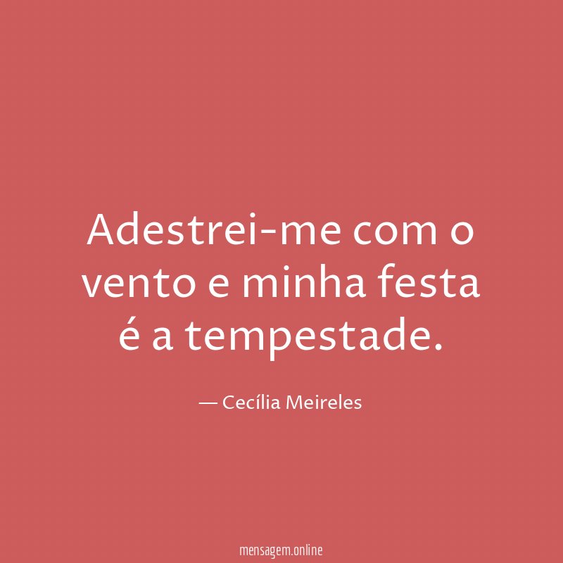 Adestrei-me com o vento e minha festa é a tempestade