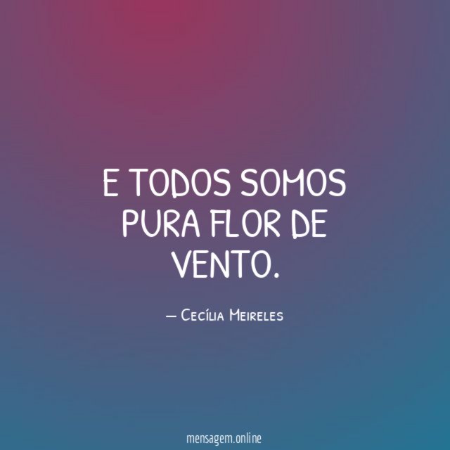 E todos somos pura flor de vento