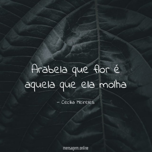 Arabela que flor é aquela que ela molha