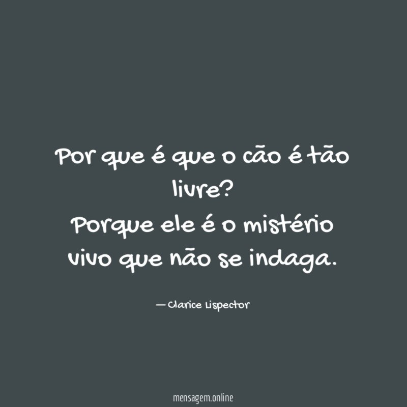 Por que é que o cão é tão livre