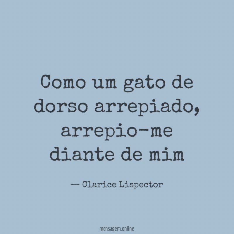 Como um gato de dorso arrepiado