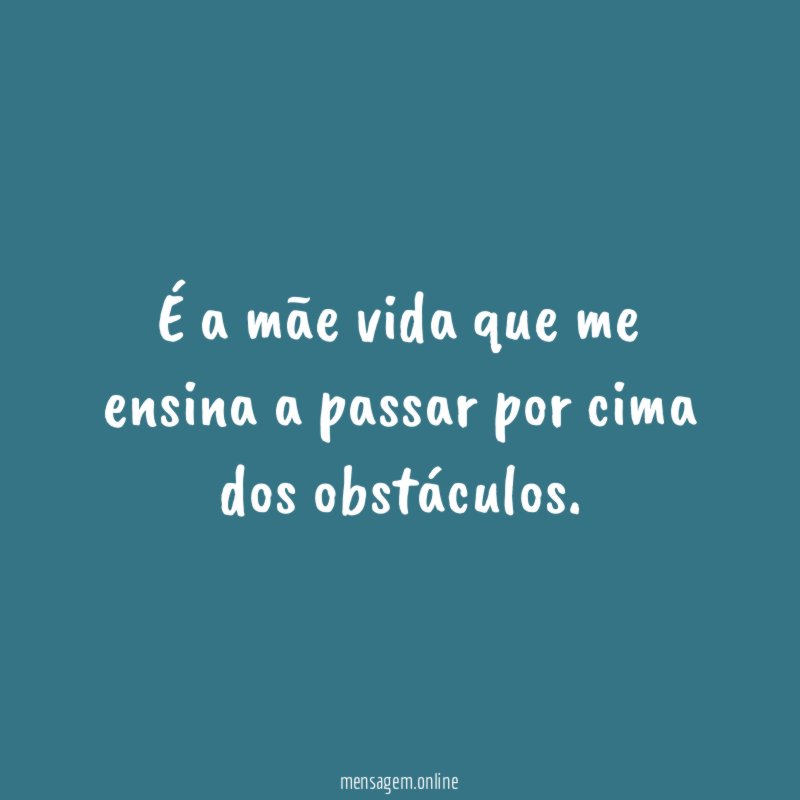 É a mãe vida que me ensina a