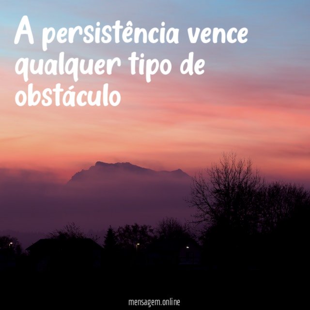 A persistência vence qualquer tipo de obstáculo"