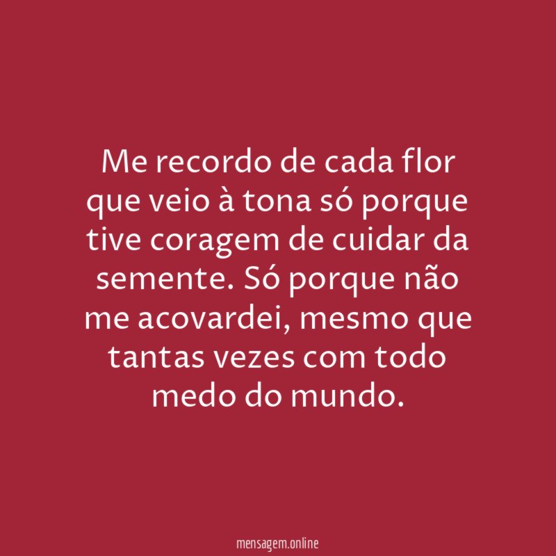 Me recordo de cada flor que veio à
