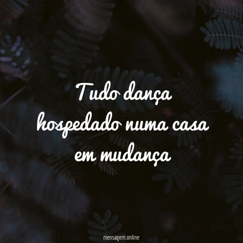 tudo dança hospedado numa casa em mudança