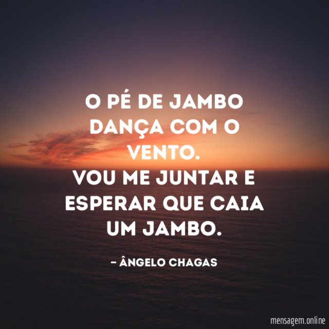 O pé de Jambo dança com o Vento
