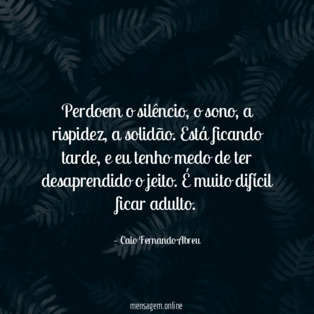 Perdoem o silêncio