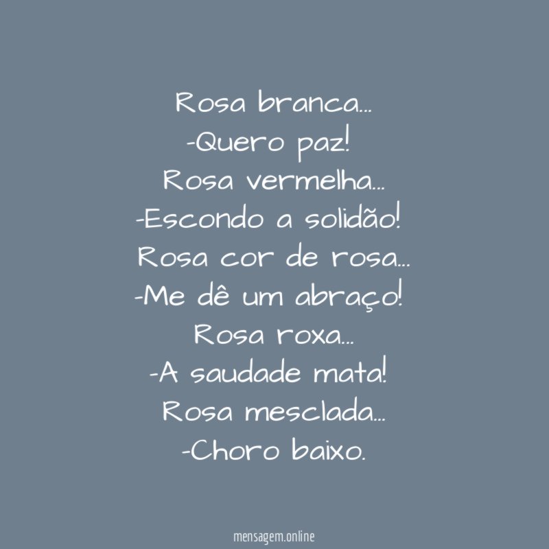 Rosa branca