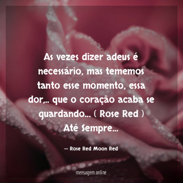 As vezes dizer adeus é necessário, mas tememos tanto esse momento, essa dor,.. que o coração acaba se guardando… ( Rose Red )