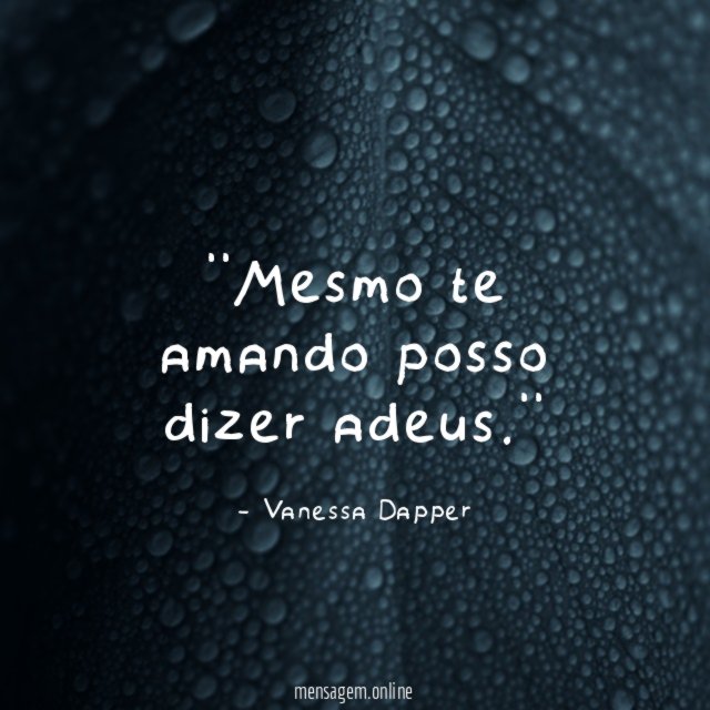'Mesmo te amando posso dizer adeus